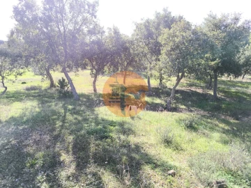 Terreno para Venda em Odeleite