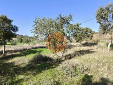 Terreno para Venda em Odeleite