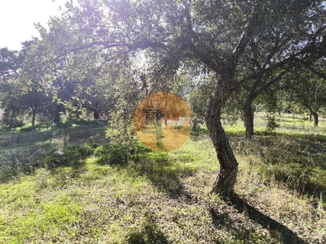 Terreno para Venda em Odeleite