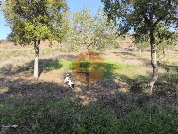 Terreno para Venda em Odeleite