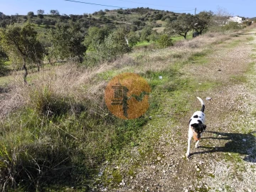 Terreno para Venda em Odeleite