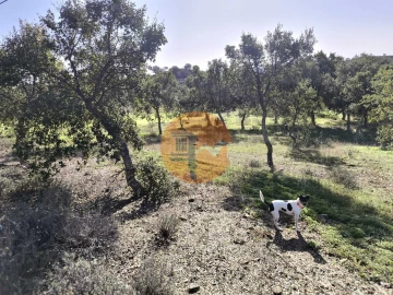Terreno para Venda em Odeleite