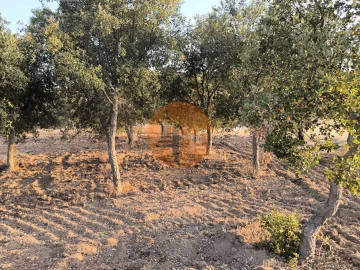 Terreno para Venda em Odeleite