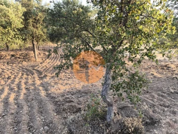 Terreno para Venda em Odeleite