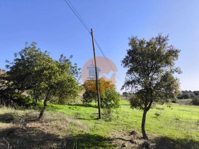 Terreno para Venda em Odeleite Foto 9