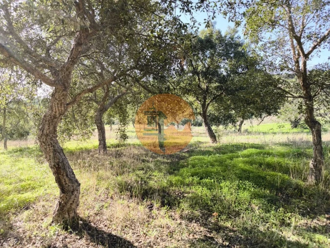 Terreno para Venda em Odeleite Foto 19