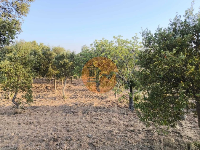 Terreno para Venda em Odeleite Foto 46