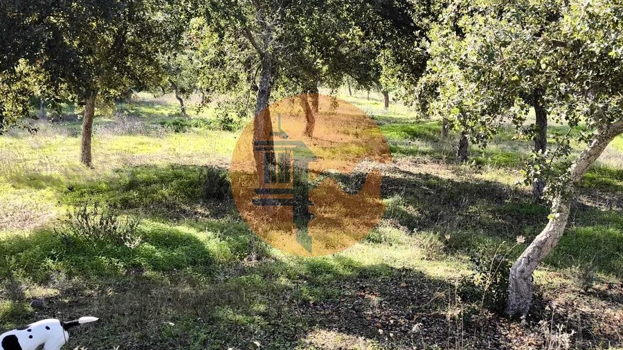 Terreno para Venda em Odeleite