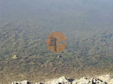 Terreno para Venda em Vaqueiros