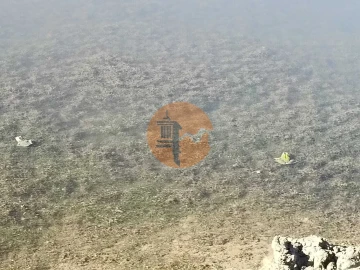 Terreno para Venda em Vaqueiros