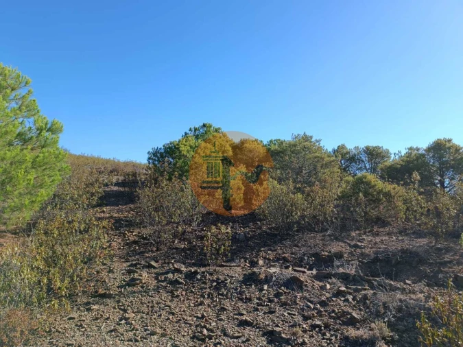Terreno para Venda em Vaqueiros Foto 7