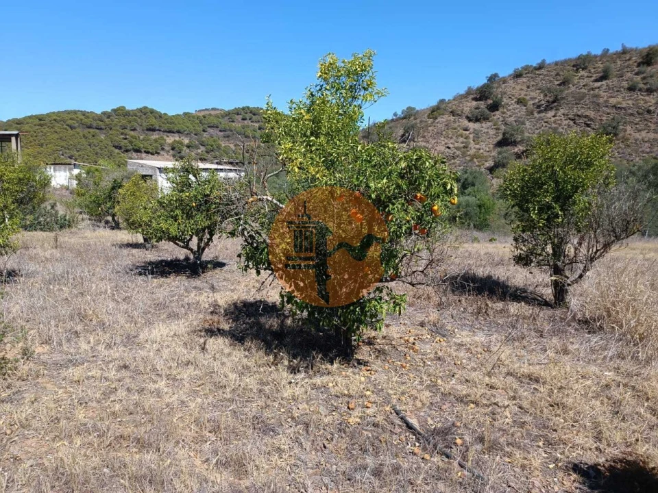 Terreno para Venda em Odeleite Foto 21