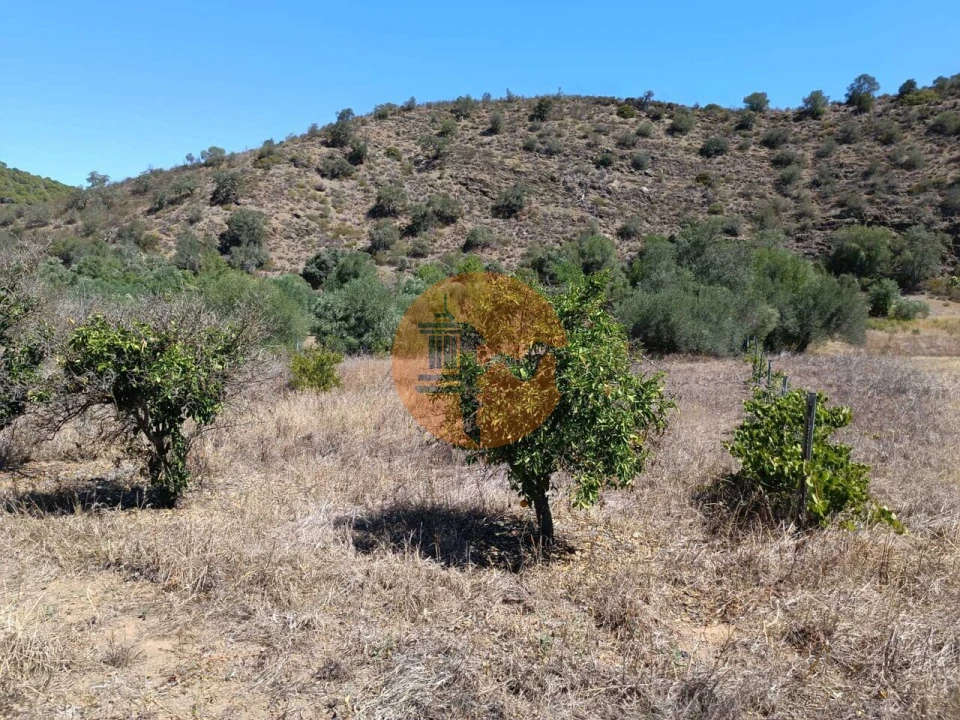 Terreno para Venda em Odeleite Foto 24