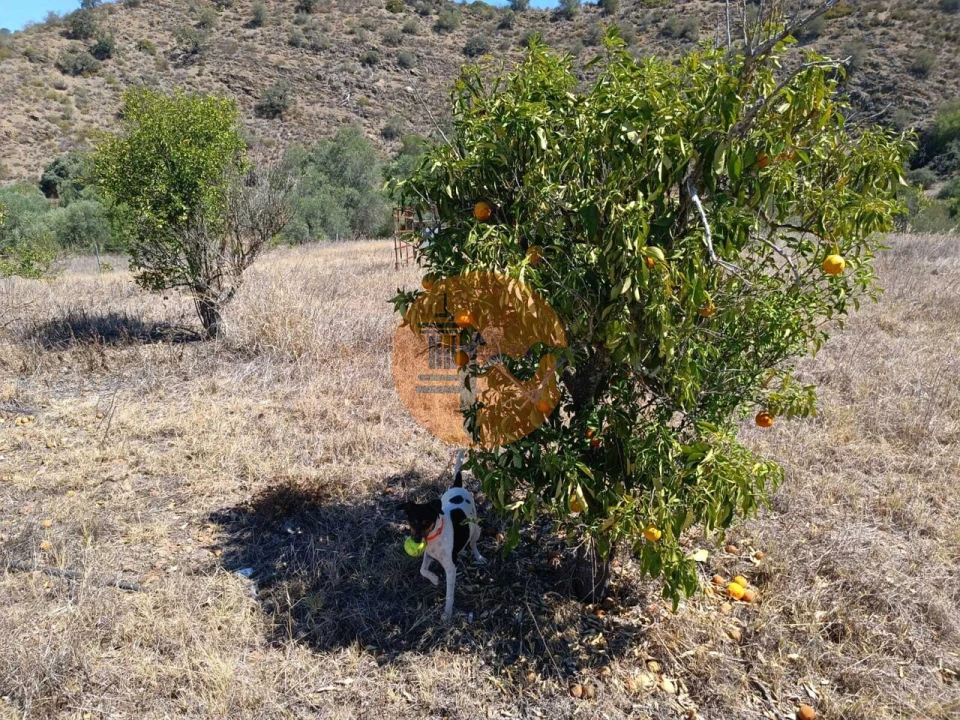Terreno para Venda em Odeleite Foto 25