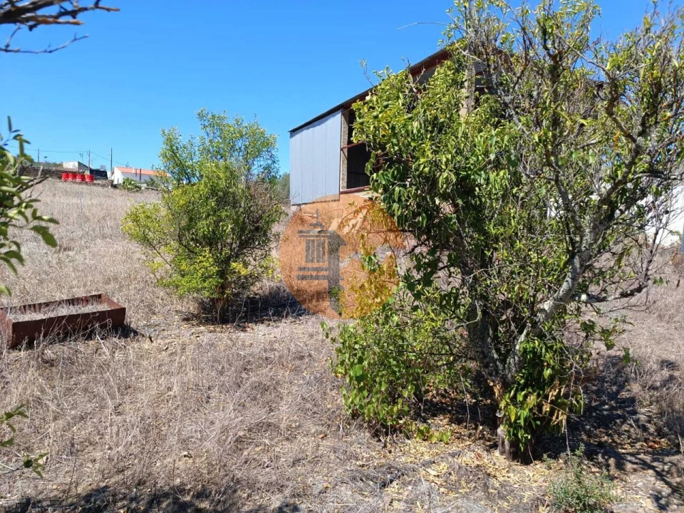 Terreno para Venda em Odeleite Foto 31