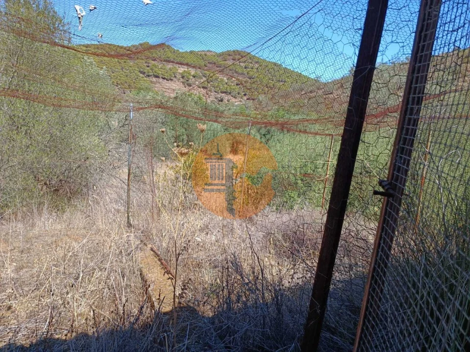 Terreno para Venda em Odeleite Foto 44
