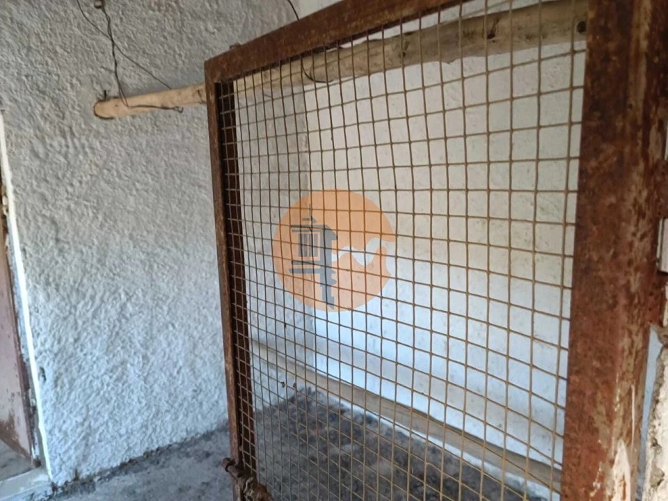 Terreno para Venda em Odeleite Foto 48