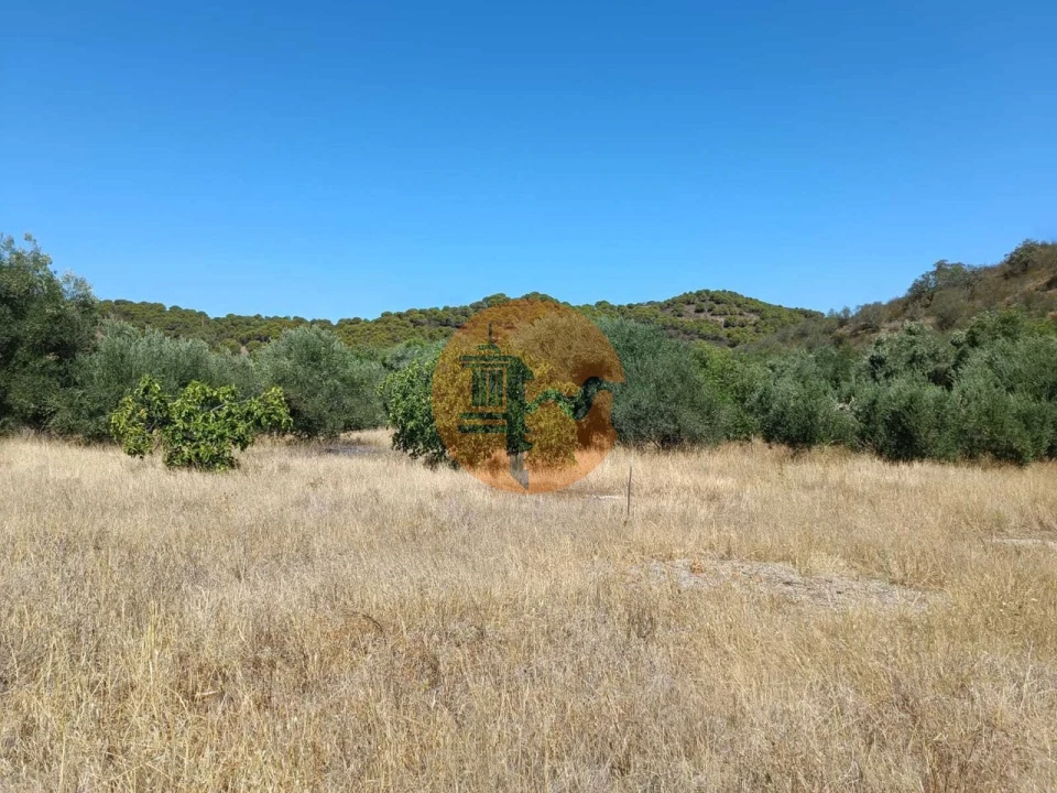 Terreno para Venda em Odeleite Foto 62