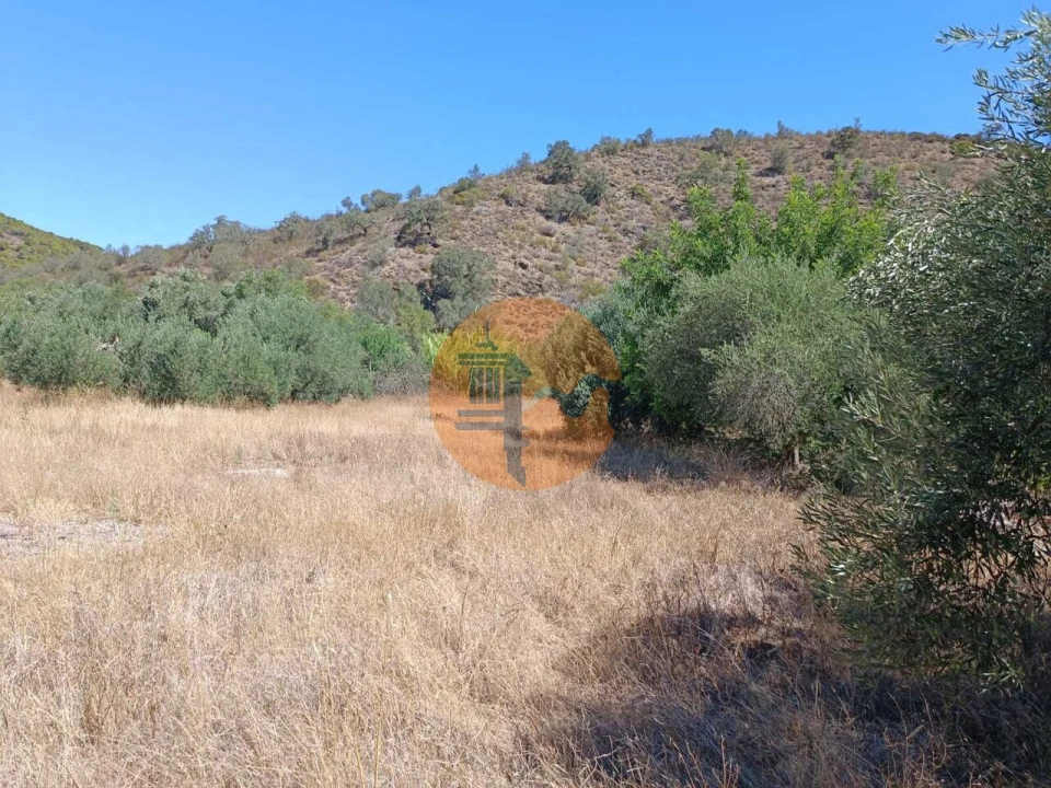 Terreno para Venda em Odeleite Foto 64
