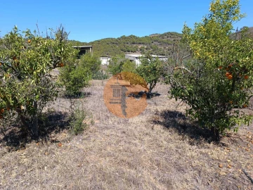 Terreno para Venda em Odeleite
