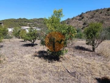 Terreno para Venda em Odeleite