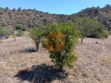 Terreno para Venda em Odeleite
