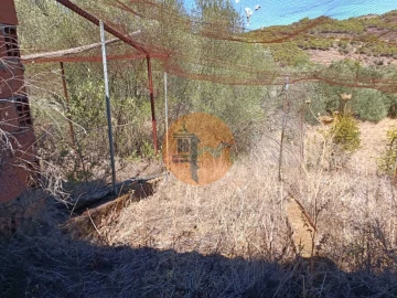 Terreno para Venda em Odeleite