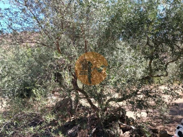 Terreno para Venda em Odeleite