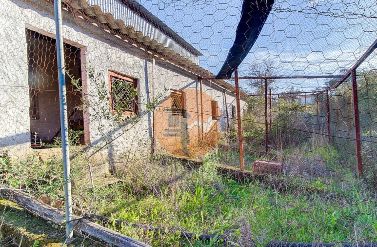 Terreno para Venda em Odeleite Foto 12