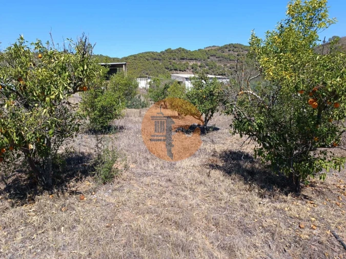Terreno para Venda em Odeleite Foto 19