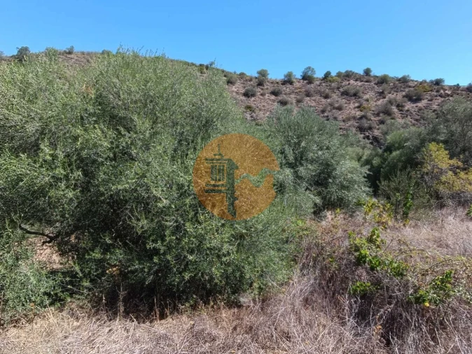 Terreno para Venda em Odeleite Foto 54