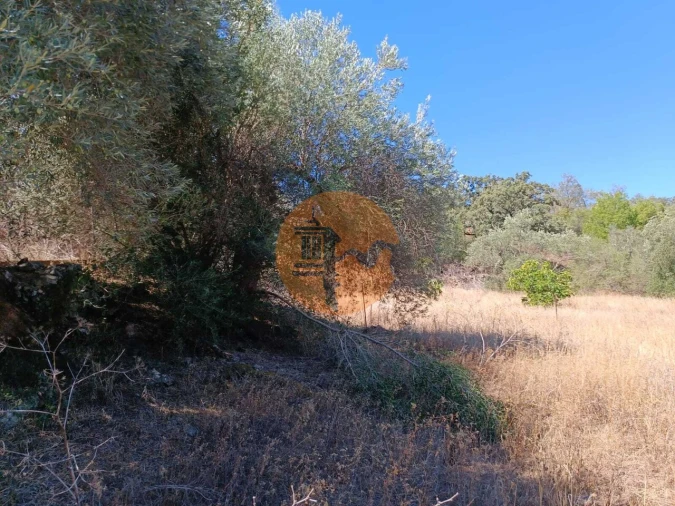Terreno para Venda em Odeleite Foto 59