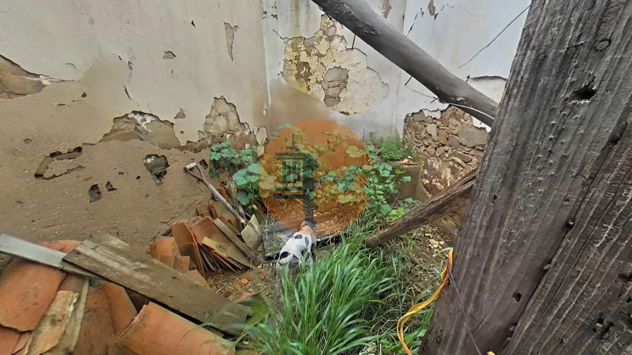 Moradia T0 para Venda em Vaqueiros Foto 34