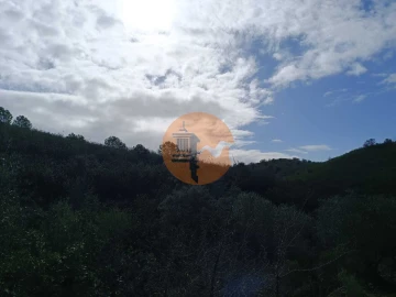 Terreno para Venda em Alcoutim e Pereiro