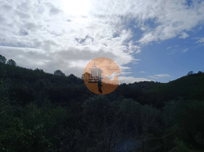 Terreno para Venda em Alcoutim e Pereiro Foto 34