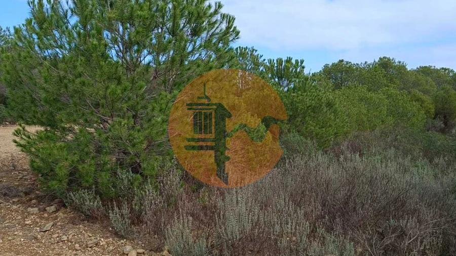 Terreno para Venda em Alcoutim e Pereiro