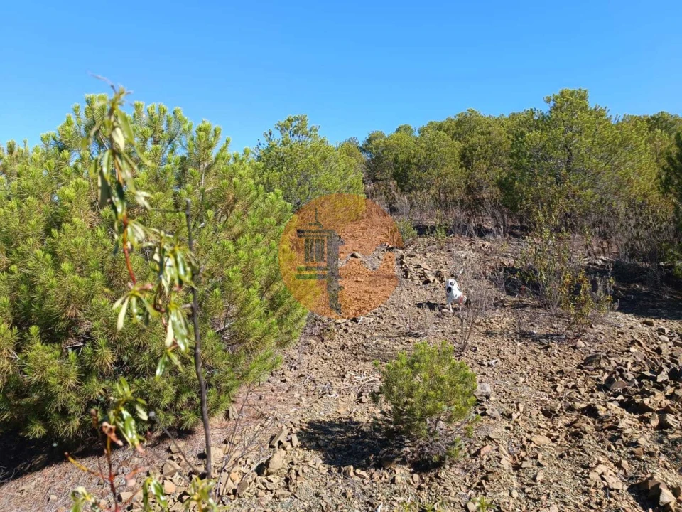 Terreno para Venda em Vaqueiros Foto 5