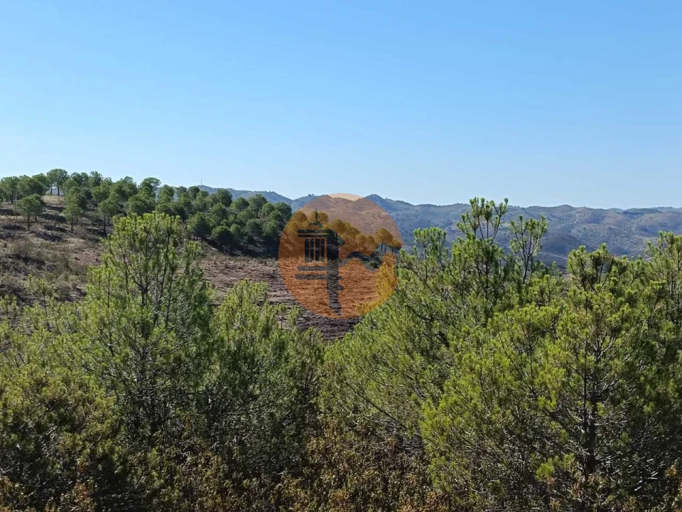 Terreno para Venda em Vaqueiros Foto 6