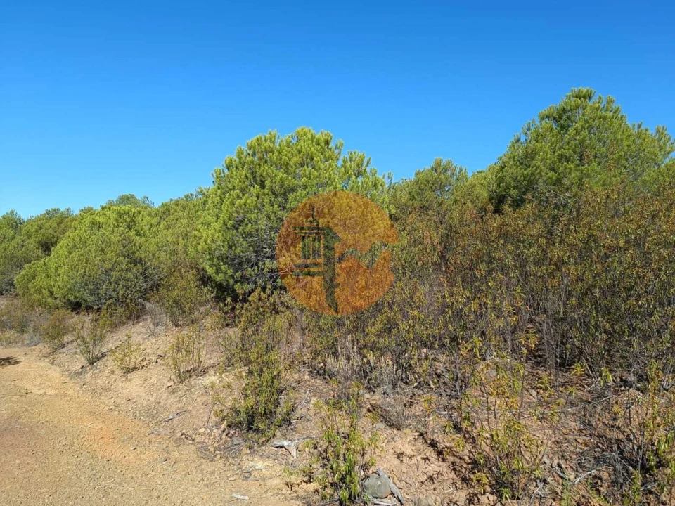 Terreno para Venda em Vaqueiros Foto 2