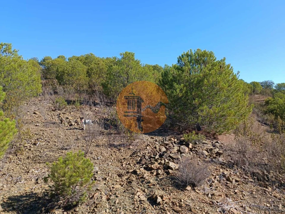 Terreno para Venda em Vaqueiros Foto 1