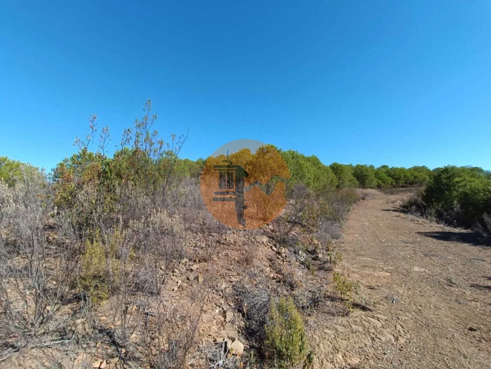 Terreno para Venda em Vaqueiros Foto 32