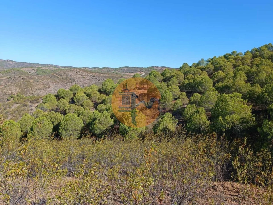 Terreno para Venda em Vaqueiros Foto 36