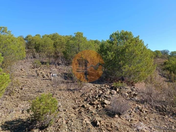 Terreno para Venda em Vaqueiros