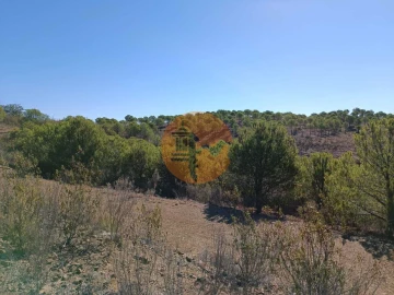 Terreno para Venda em Vaqueiros