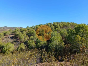 Terreno para Venda em Vaqueiros