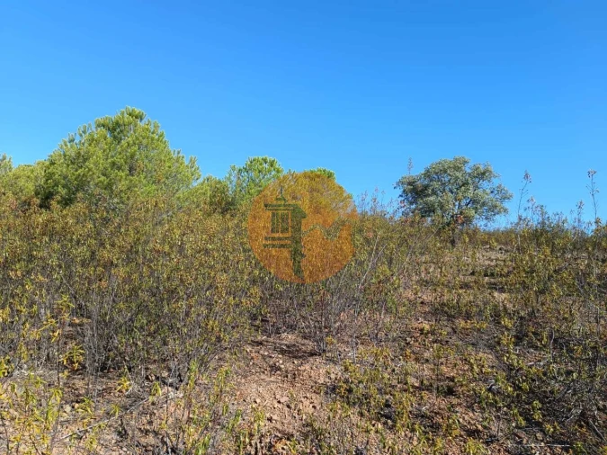 Terreno para Venda em Vaqueiros Foto 10