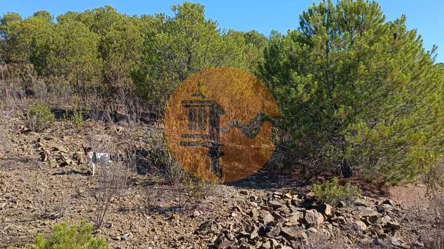 Terreno para Venda em Vaqueiros