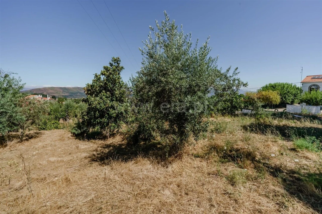 Terreno para Venda em Souto da Casa Foto 6