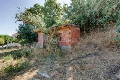 Terreno para Venda em Souto da Casa
