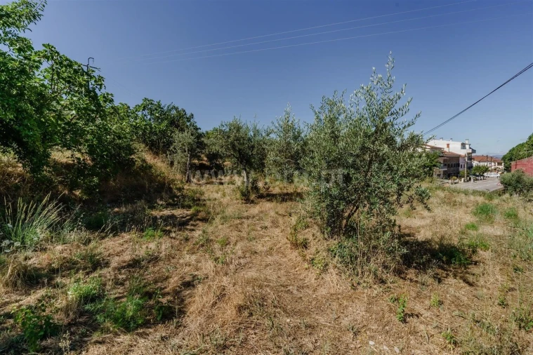 Terreno para Venda em Souto da Casa Foto 8